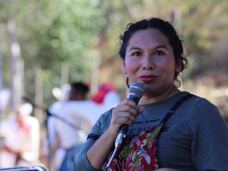 Indigena mayo Huatabampense en Bellas Artes