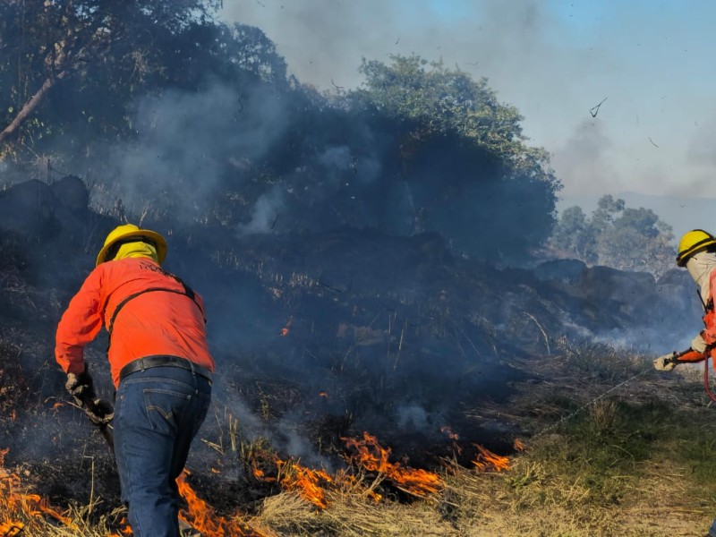 Inician trabajos de prevenciòn de incendios en el 