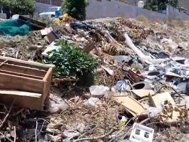 Inundados de basura en Ocotillo