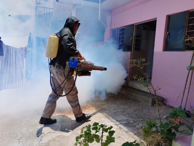 Jalisco registra 102 casos confirmados de dengue