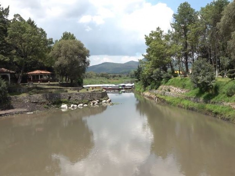 Urgente reforestación para recuperar el Lago de Pátzcuaro