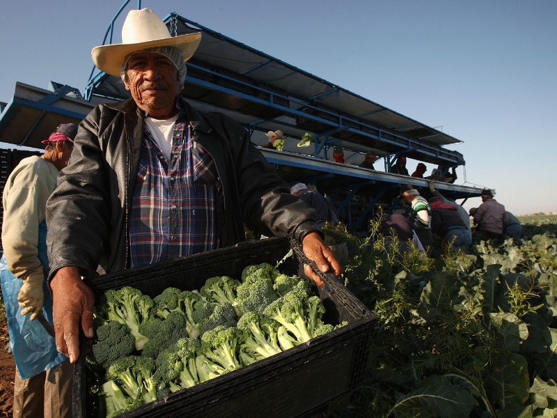 Latinos impulsan la economía de Estados Unidos con 3.6 billones