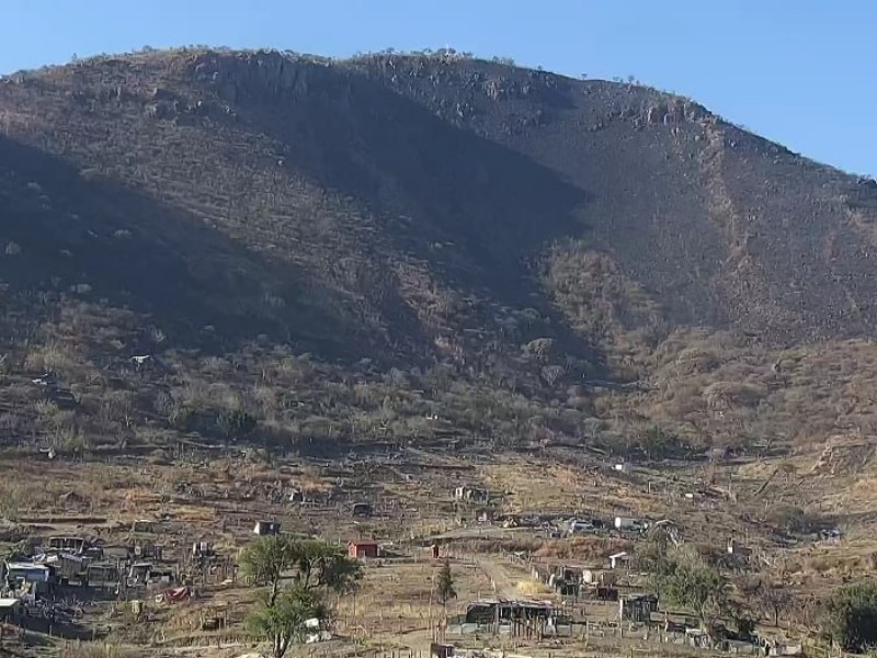 Liquidan incendio forestal en Cerro de Las Latillas