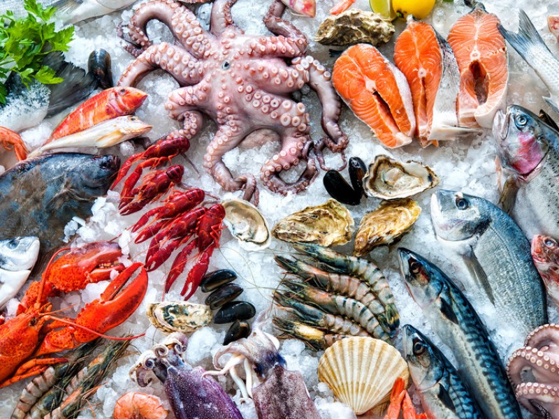 Llama Secretaría de Salud no consumir pescados y mariscos crudos |  MEGANOTICIAS