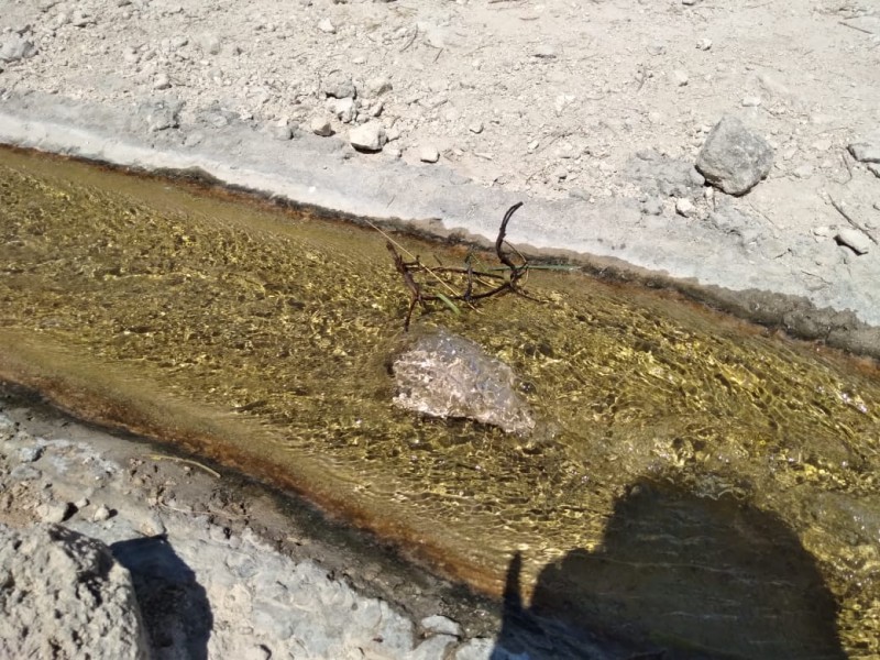 Llaman clorar el agua para prevenir cólera, niegan caso sospechoso