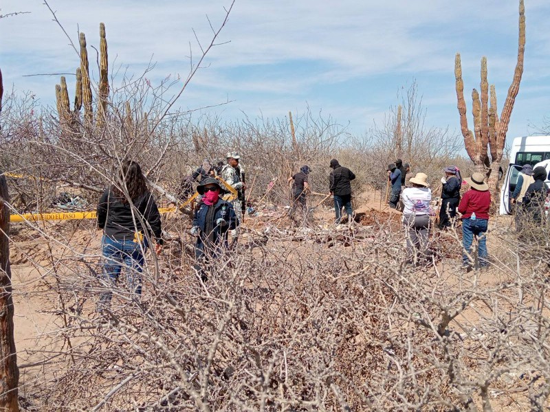 Localizan 10 osamentas humanas en fosas clandestinas