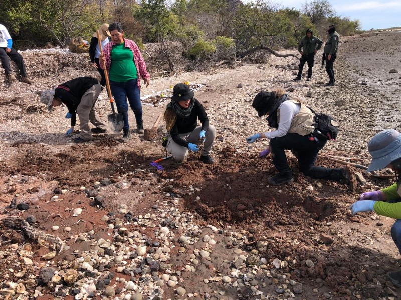 Localizan restos humanos en fosa clandestina en Bahía de Navachiste