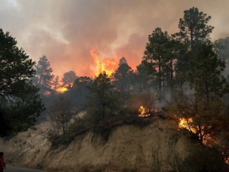 Logran total control del incendio en Sierra de Arteaga