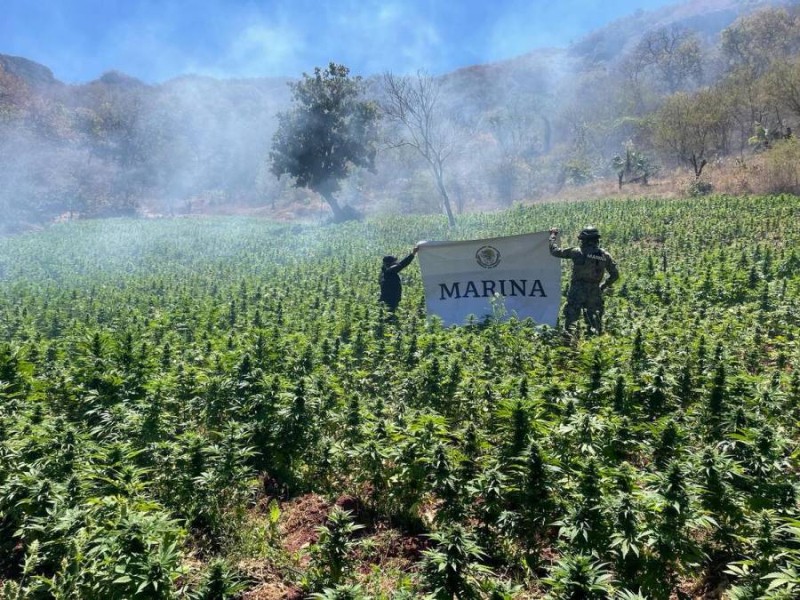 Marina destruye laboratorio clandestino en Sinaloa