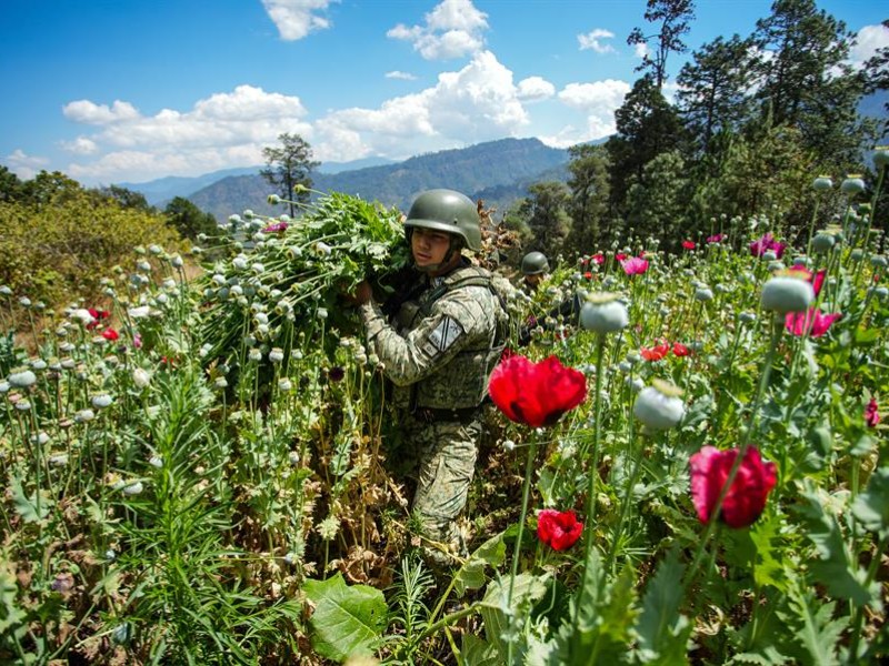 México, en alerta: aumenta el consumo de fentanilo