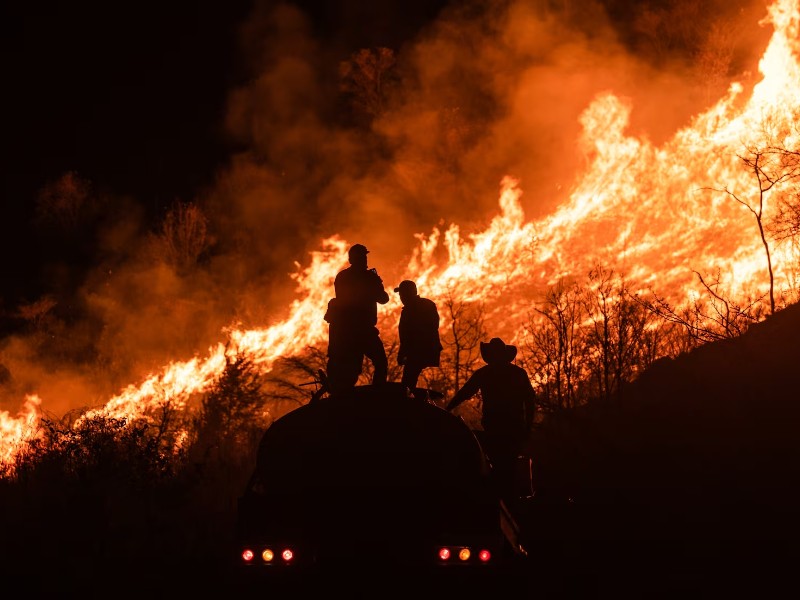 Combate al fuego: el problema de los incendios forestales