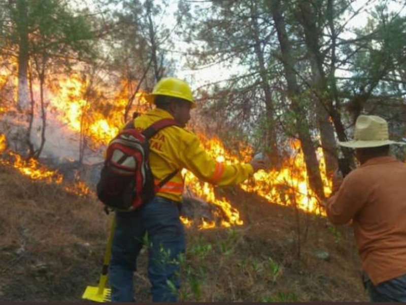 El gobierno de Oaxaca busca prevenir incendios forestales