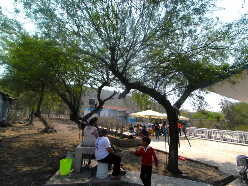 Preescolar lidera proyecto ambiental “Reforestando mi Escuela”