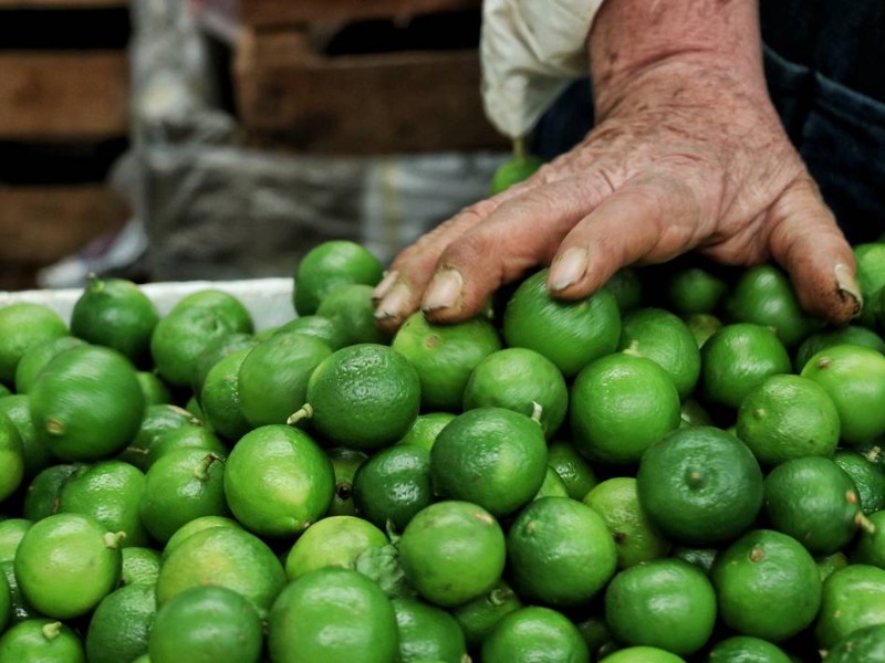 Producción de limón en Michoacán protegida por la Sedena