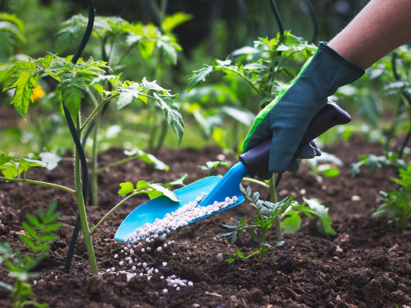 Producción nacional de fertilizantes en México crece significativamente