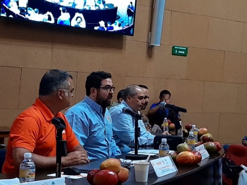 Productores se oponen a planta procesadora de mango