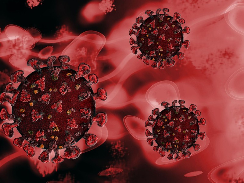 Qu es el metapneumovirus humano y cmo se transmite?