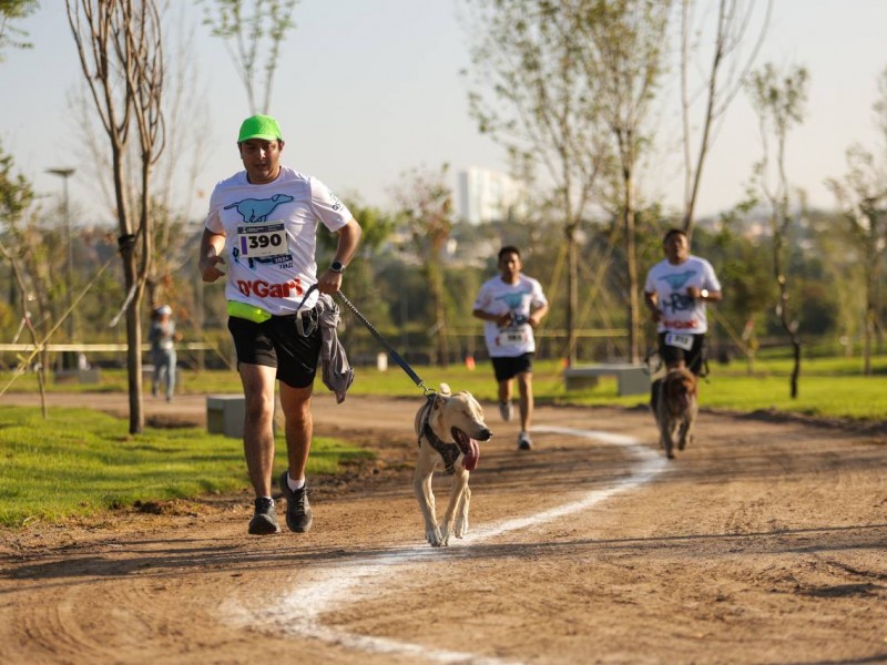 Realizan con éxito carrera P-run