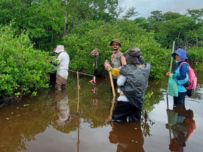 Recorte presupuestal alcanza áreas ambientales