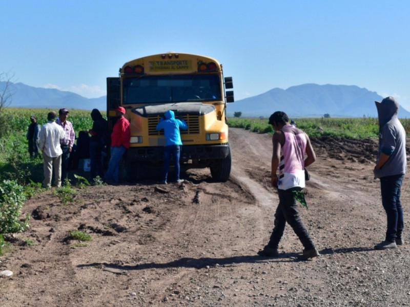 Registra VyT 22 infracciones por trasladar menores al campo