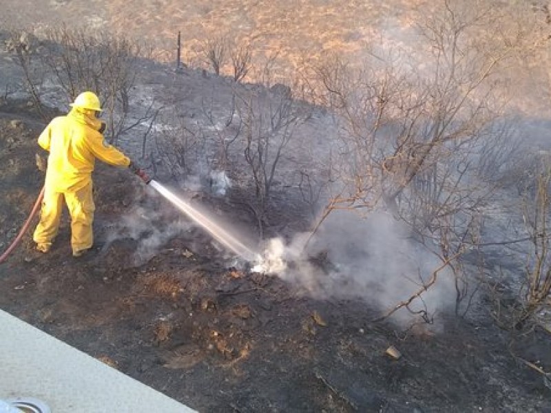 Reporta Conafor incendios liquidados en Baja California