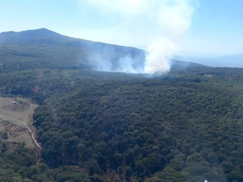 Reportan incendio en el corazón del Bosque de La Primavera