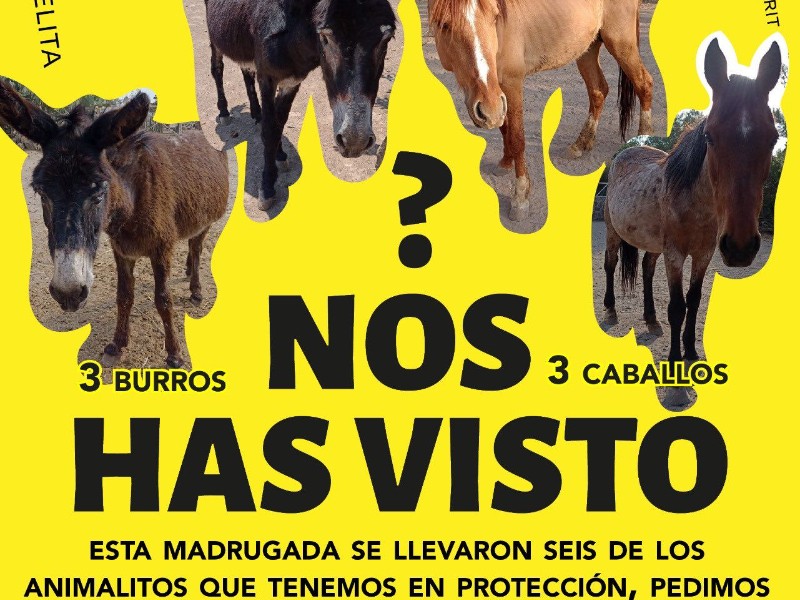 Roban 2 burros y dos caballos de Santuario en Otumba