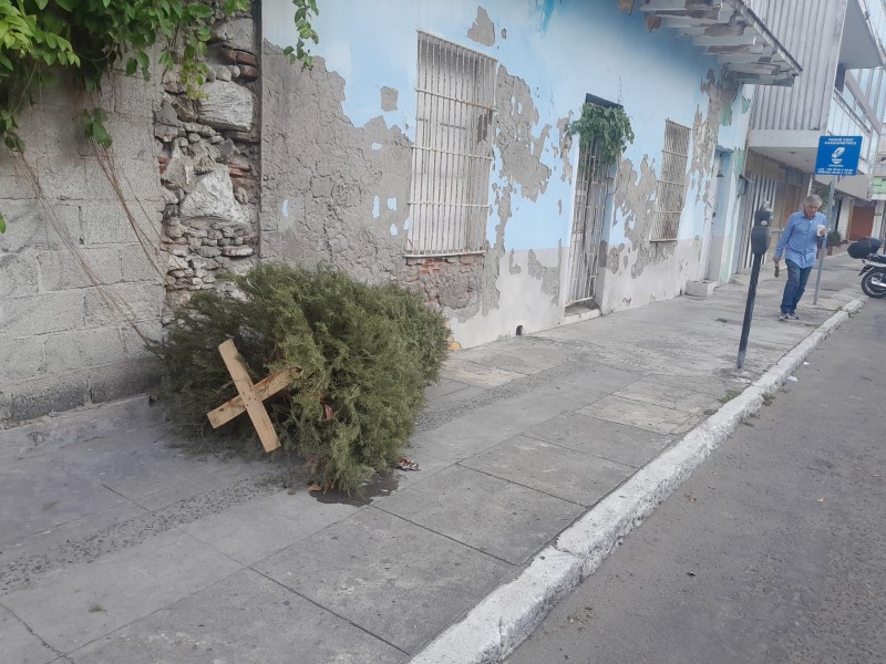 Sancionan por tirar el arbolito de Navidad en la calle