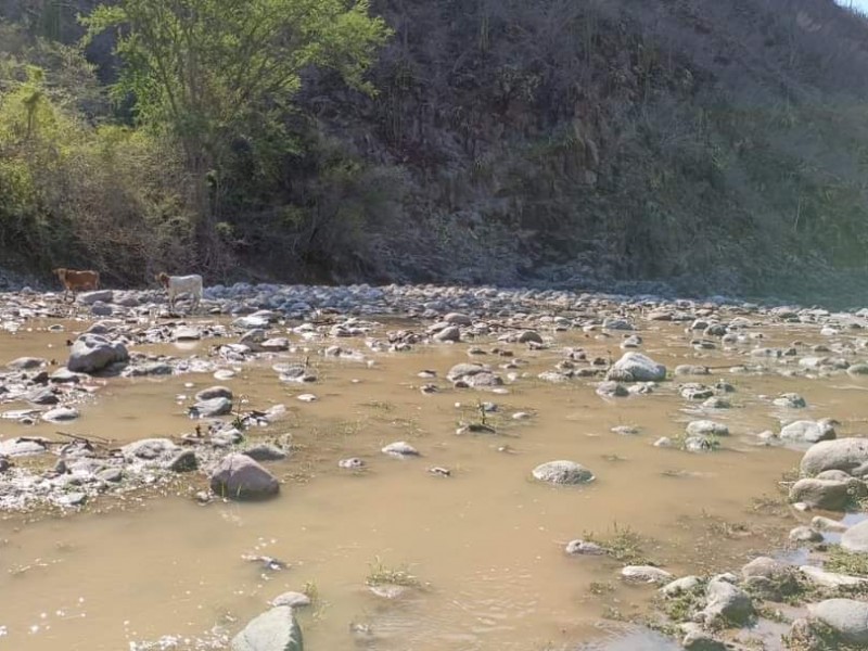 Se activan arroyos tras lluvias en la sierra de Chihuahua