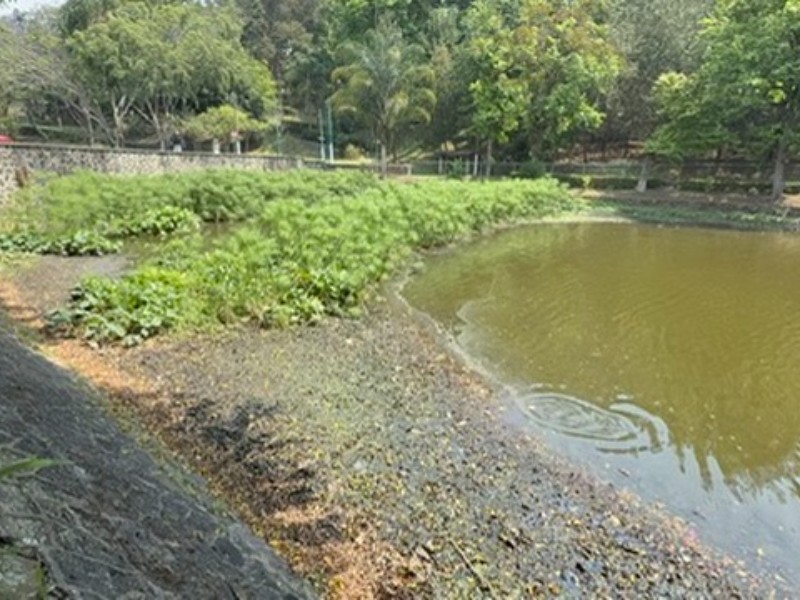 Se acumula basura y sedimentos en Paseo de Los Lagos
