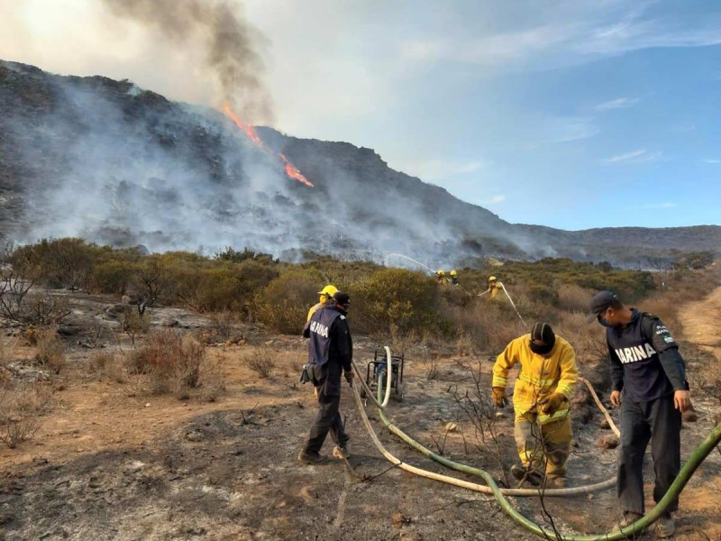 Se mantienen los incendios forestales en Baja California