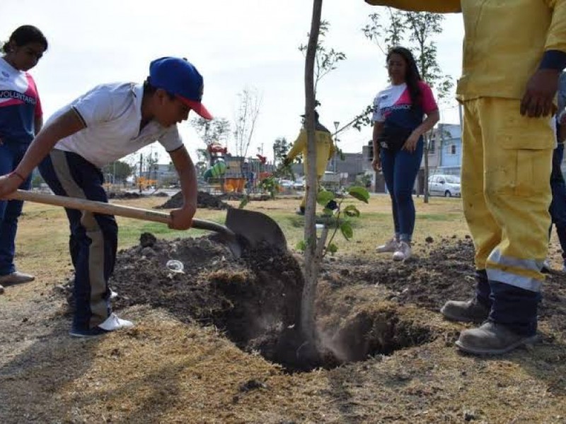 Sembrará mil árboles en Querétaro alcalde de SLP