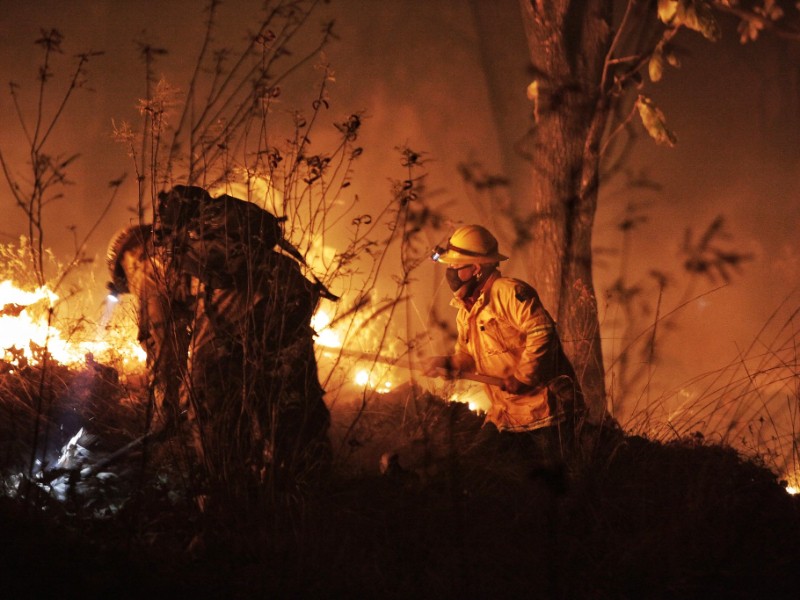 Severos daños ambientales por incendio en la Sierra de Quila