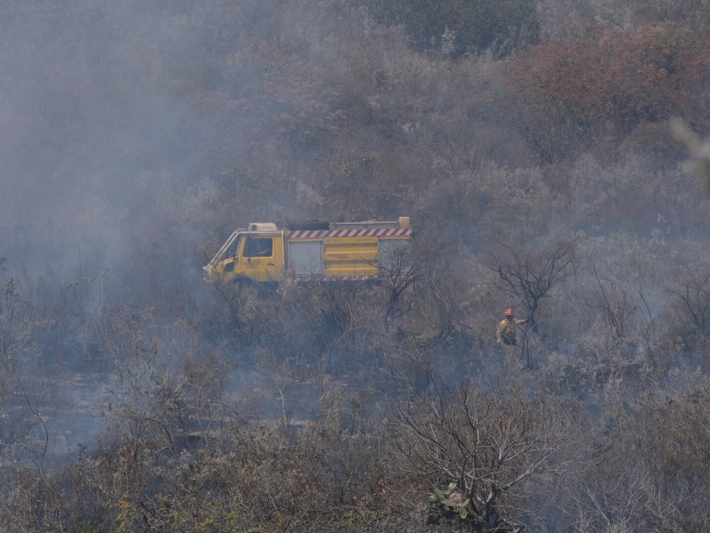 Sin estimación de daños por incendio en La Primavera