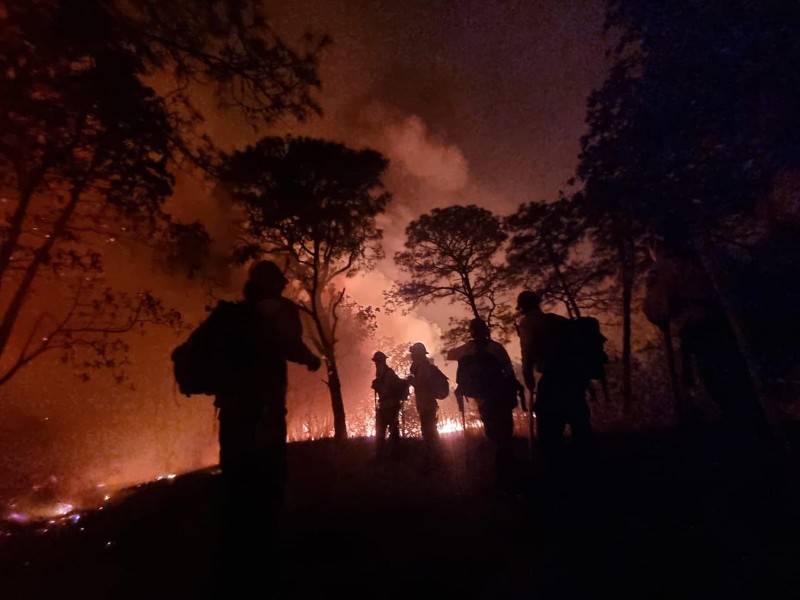 Suspenden clases en algunos planteles por incendio en La Primavera