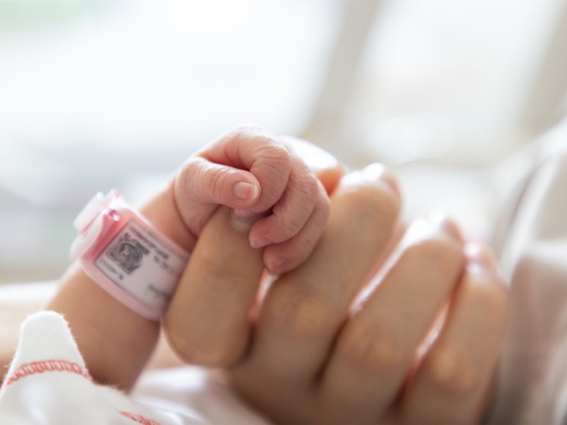 Tosferina repunta en México: mueren 45 bebés en 2025