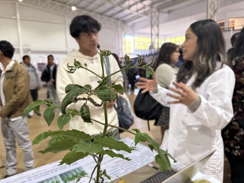 UAQ: estudiantes de Química realizan simposio de sustentabilidad