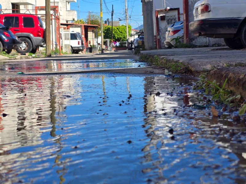 Vecinos de Infonavit los Fresnos denuncias fugas de agua