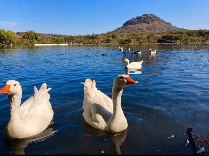 Visita la presa de la Luz en Jacona